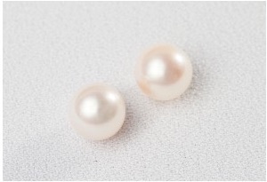 市場に出る真珠は全体の２０％未満です